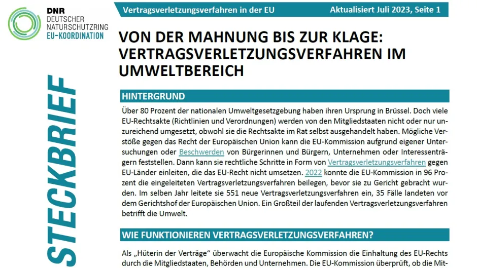 Screenshot der Titelseite des DNR-Steckbriefes "Von der Mahnung bis zur Klage: Vertragsverletzungsverfahren im Umweltbereich"